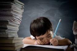 勉強する子どもの写真